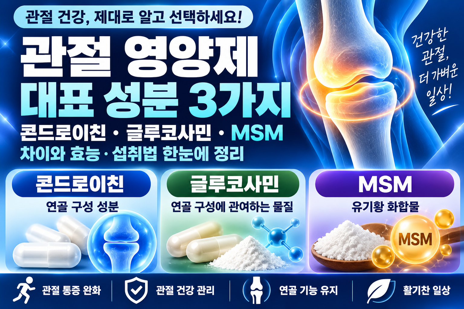 관절 영양제 총정리｜콘드로이친·글루코사민·MSM 차이와 효능·섭취법