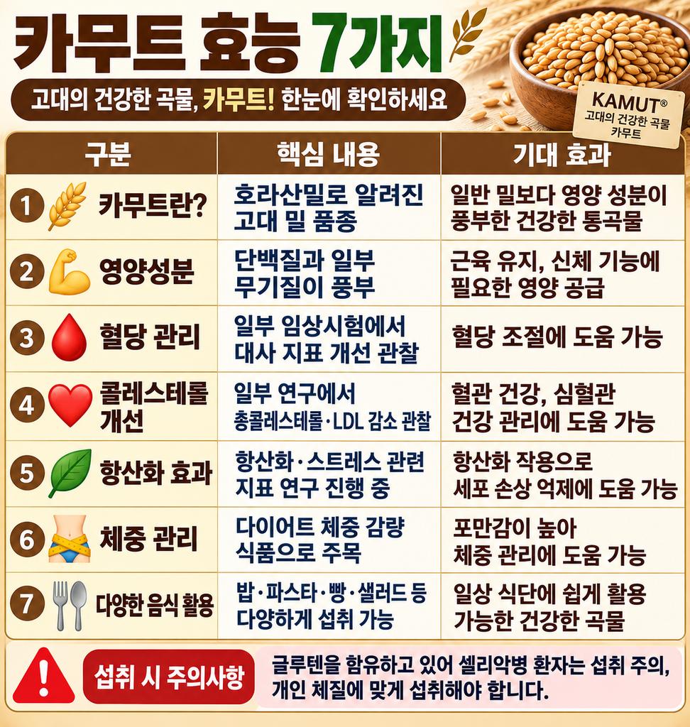 카무트의 효능 7가지 핵심 정리