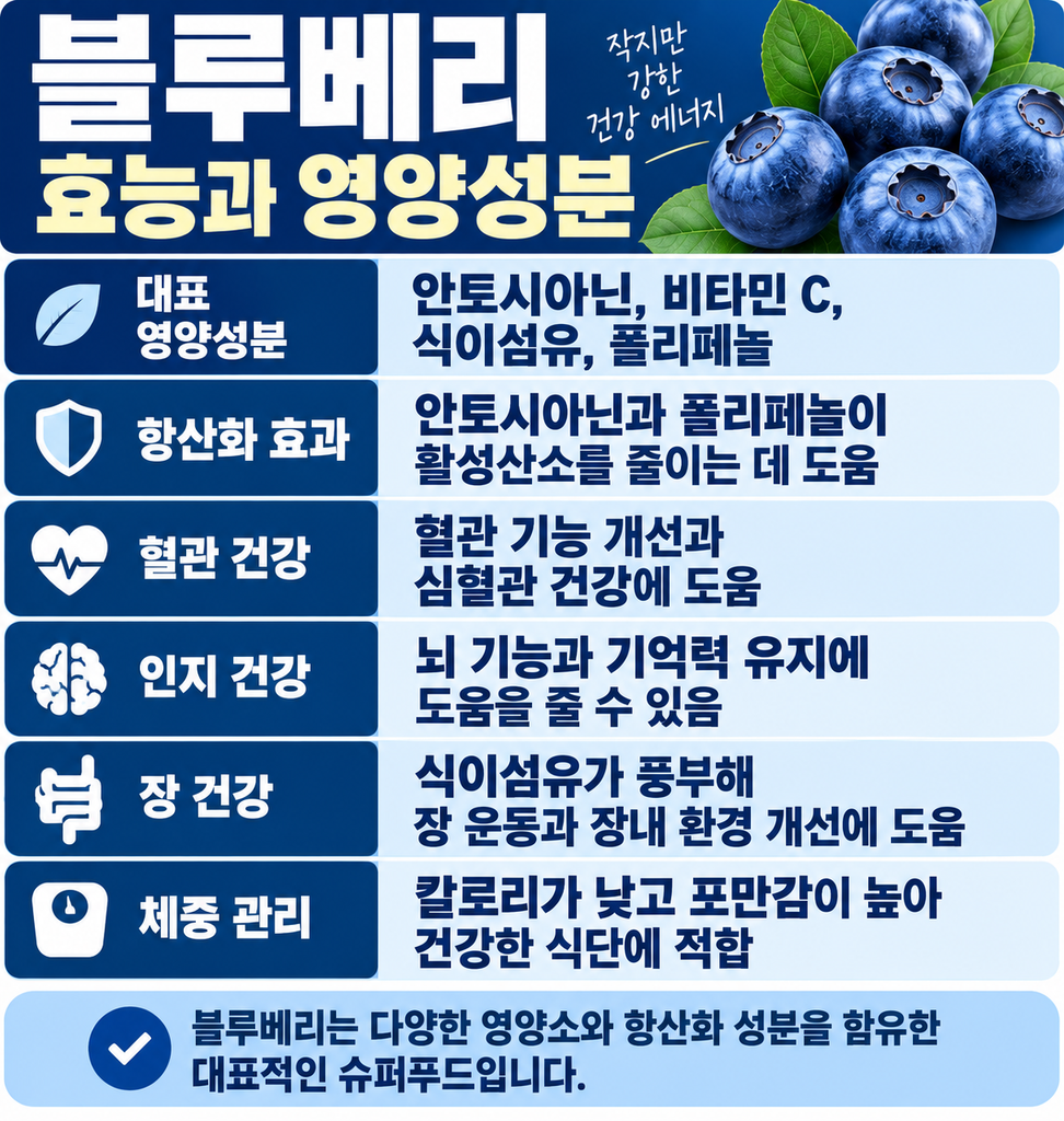 블루베리의 효능과 영양성분