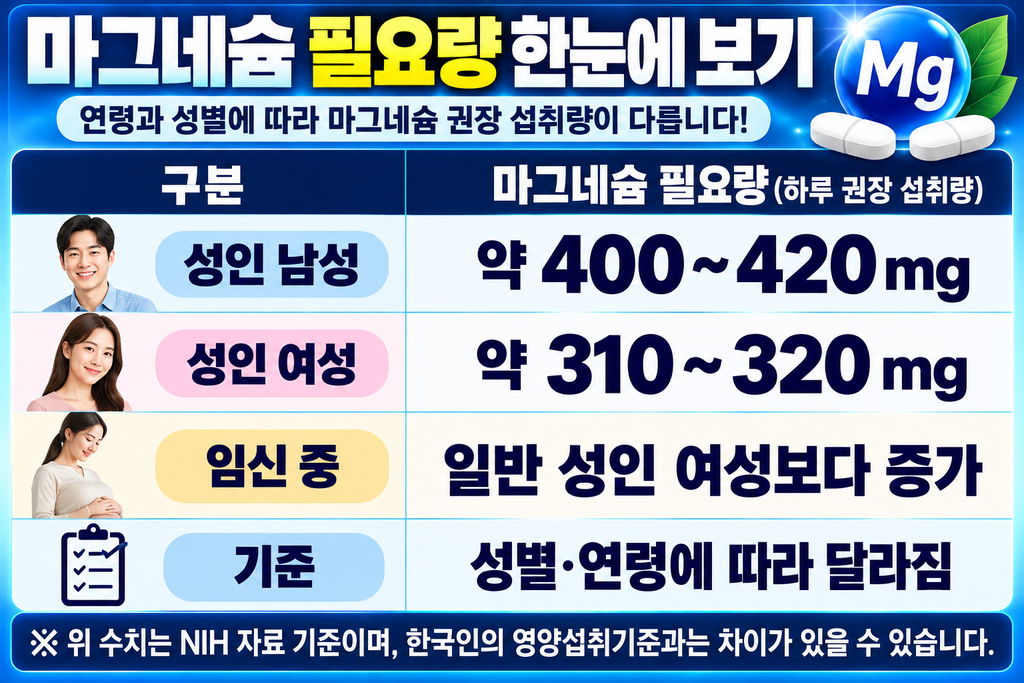 마그네슘 필요량 한눈에 보기
