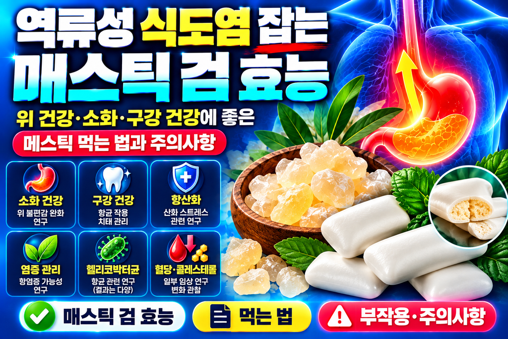 역류성 식도염 잡는 매스틱 검 효능
썸네일